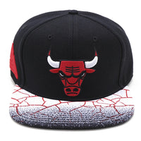 Chicago Bulls BlackPyramid/Pro Standard SnapBack Cap - Black & White