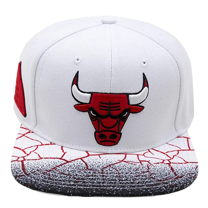 Chicago Bulls BlackPyramid/Pro Standard SnapBack Cap - Black & White